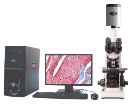 邁朗高倍智能變焦數(shù)碼顯微分析儀sj-tmdi810（II）