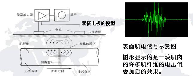 表面.JPG